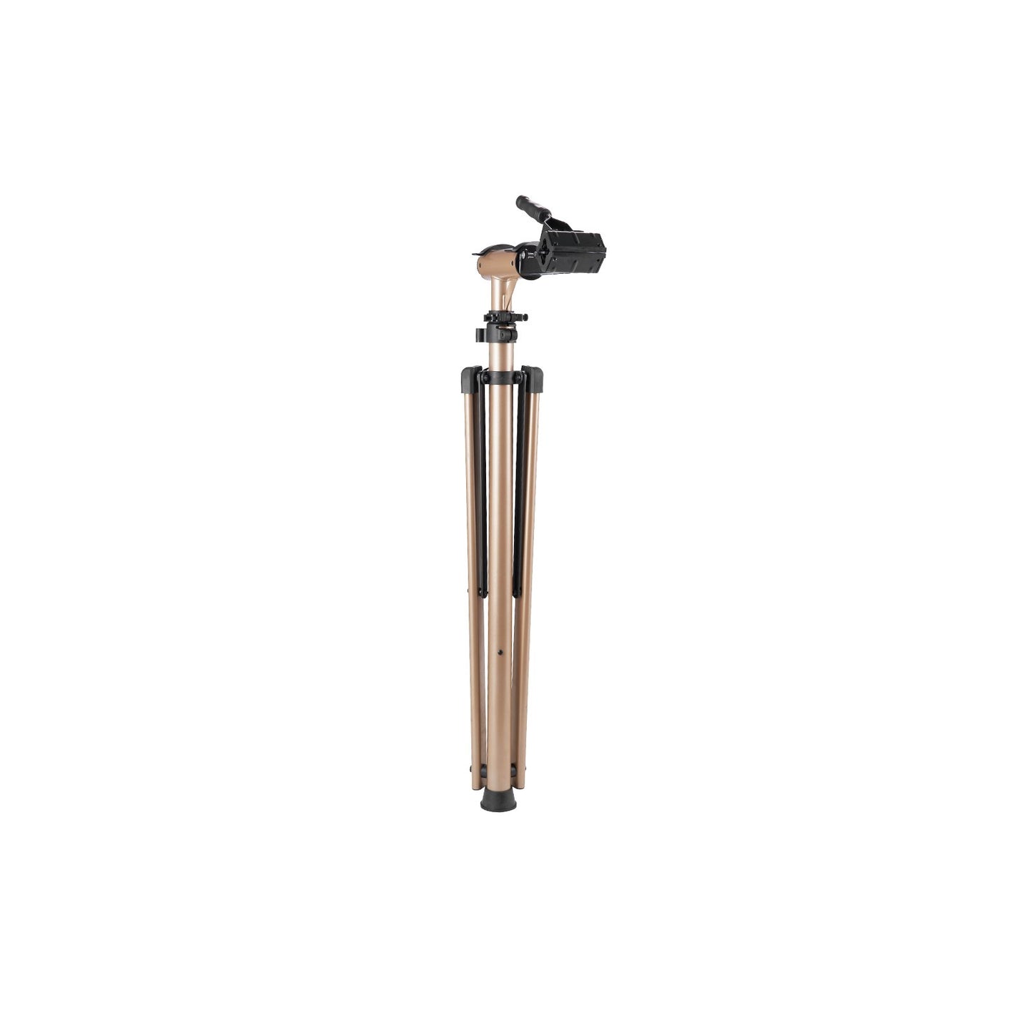 Heavy-Duty Bike Repair Stand